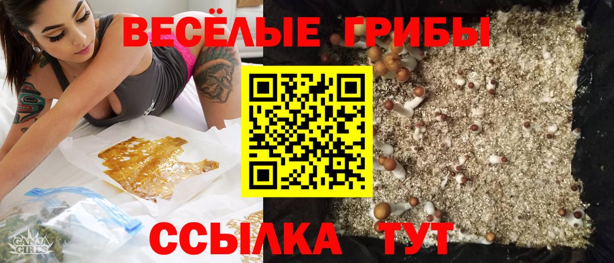 Галлюциногенные грибы GOLDEN TEACHER  Вход с VPN  Торжок 